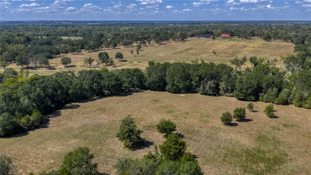 an aerial view of forest