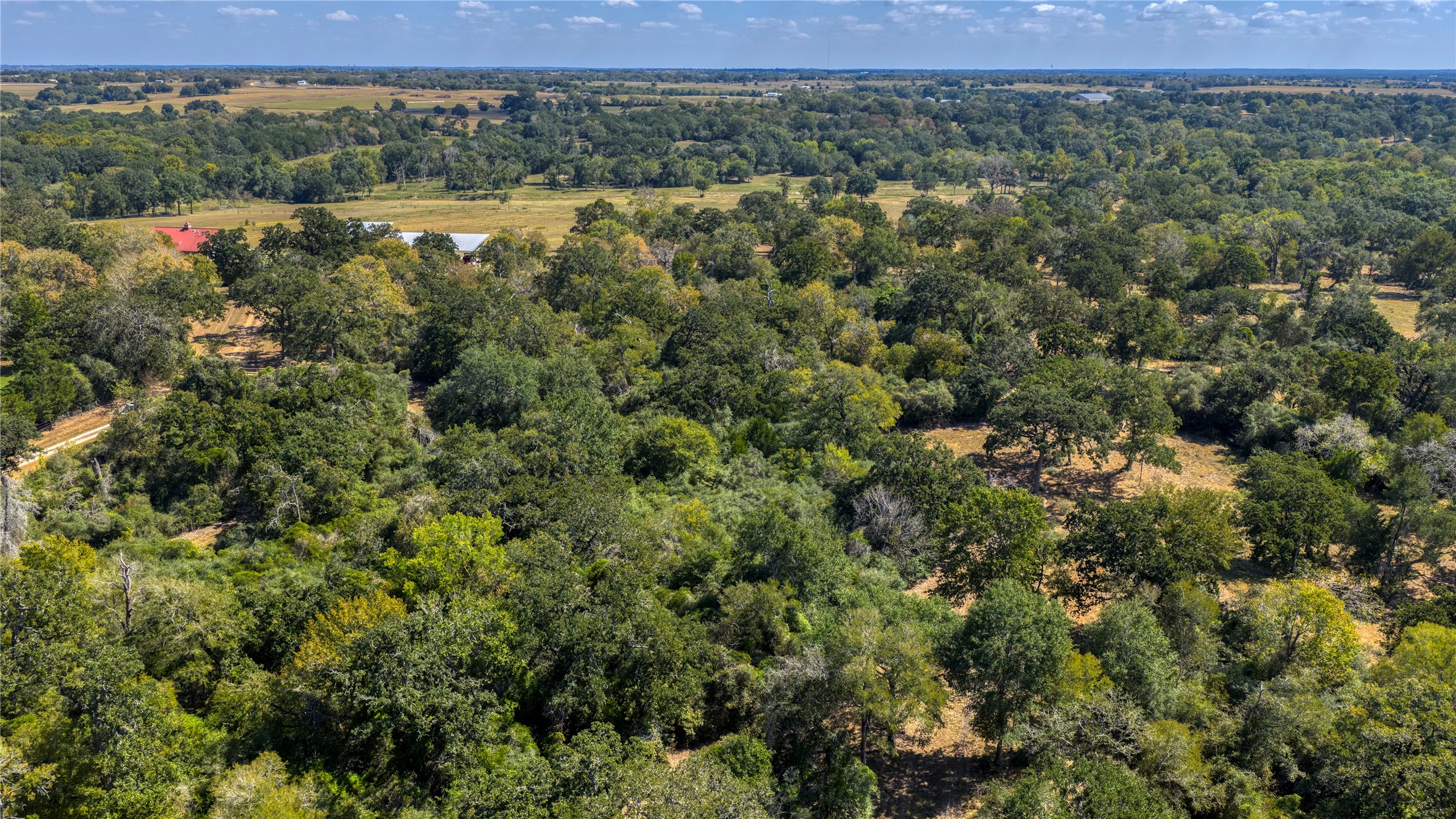 5960 Schoenau Road Brenham, TX 77833 - Photo 40 of 49 an aerial view of forest