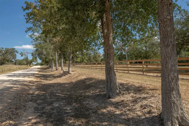 a view of outdoor space with trees