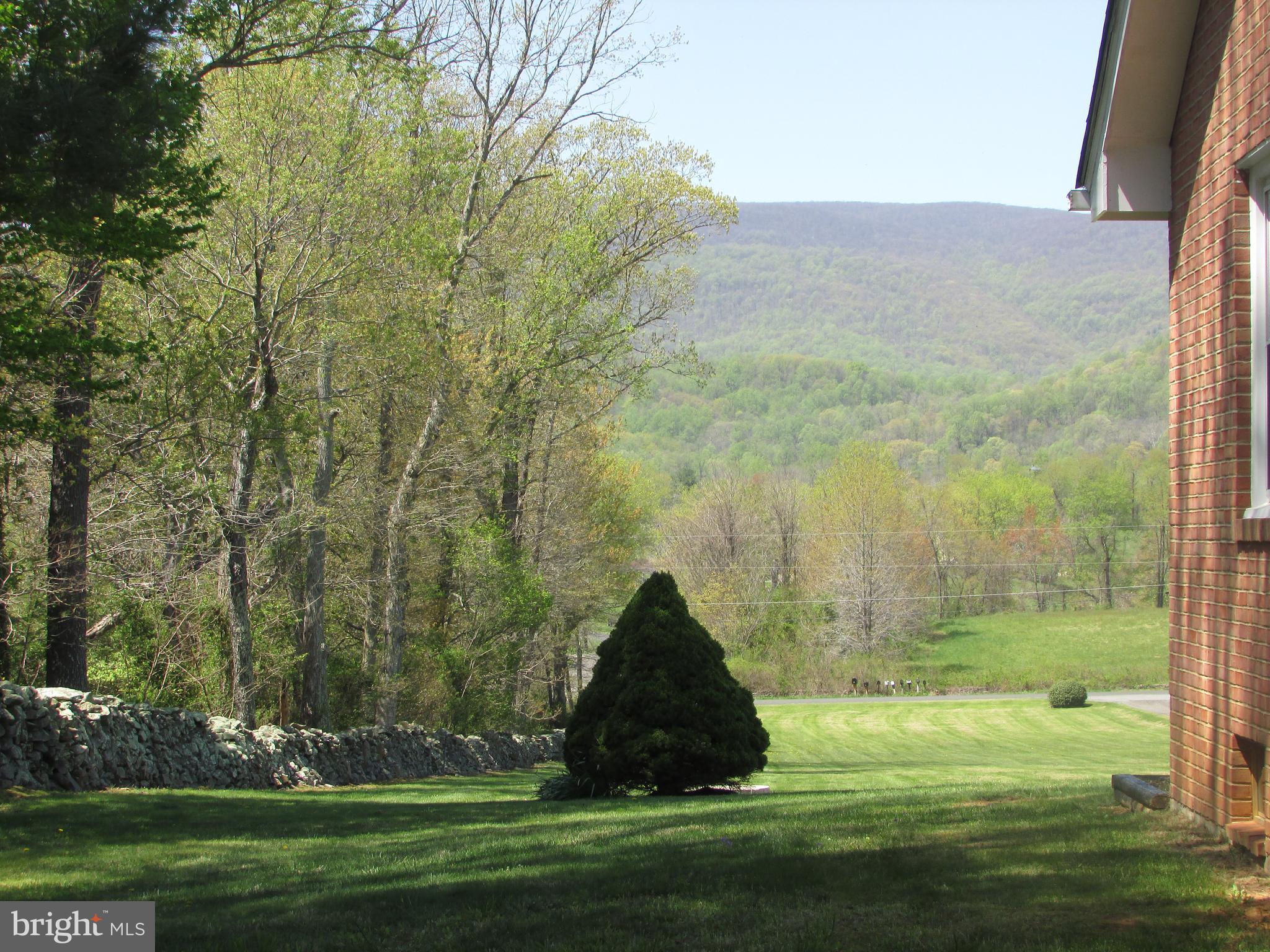 334 Dearing Road Huntly, VA 22640 - Photo 14 of 60