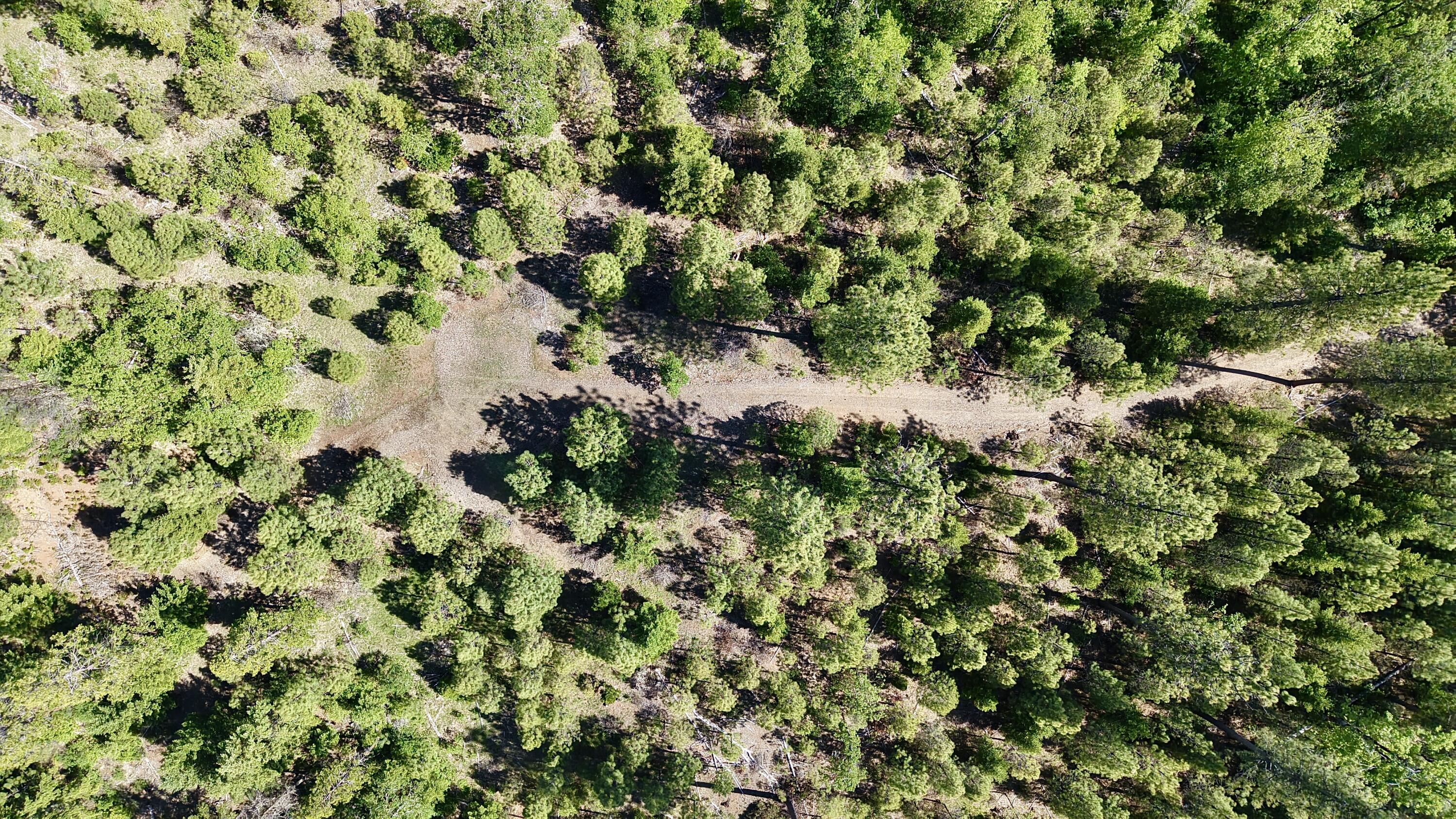 Ulrich Road Prospect, OR 97536 - Photo 12 of 14 Aerial