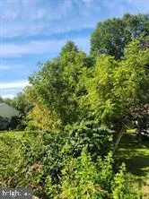 a view of a large yard with lots of bushes