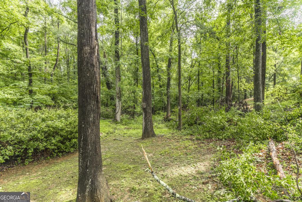 1934 Wood Valley Road Macon, GA 31211 - Photo 43 of 44