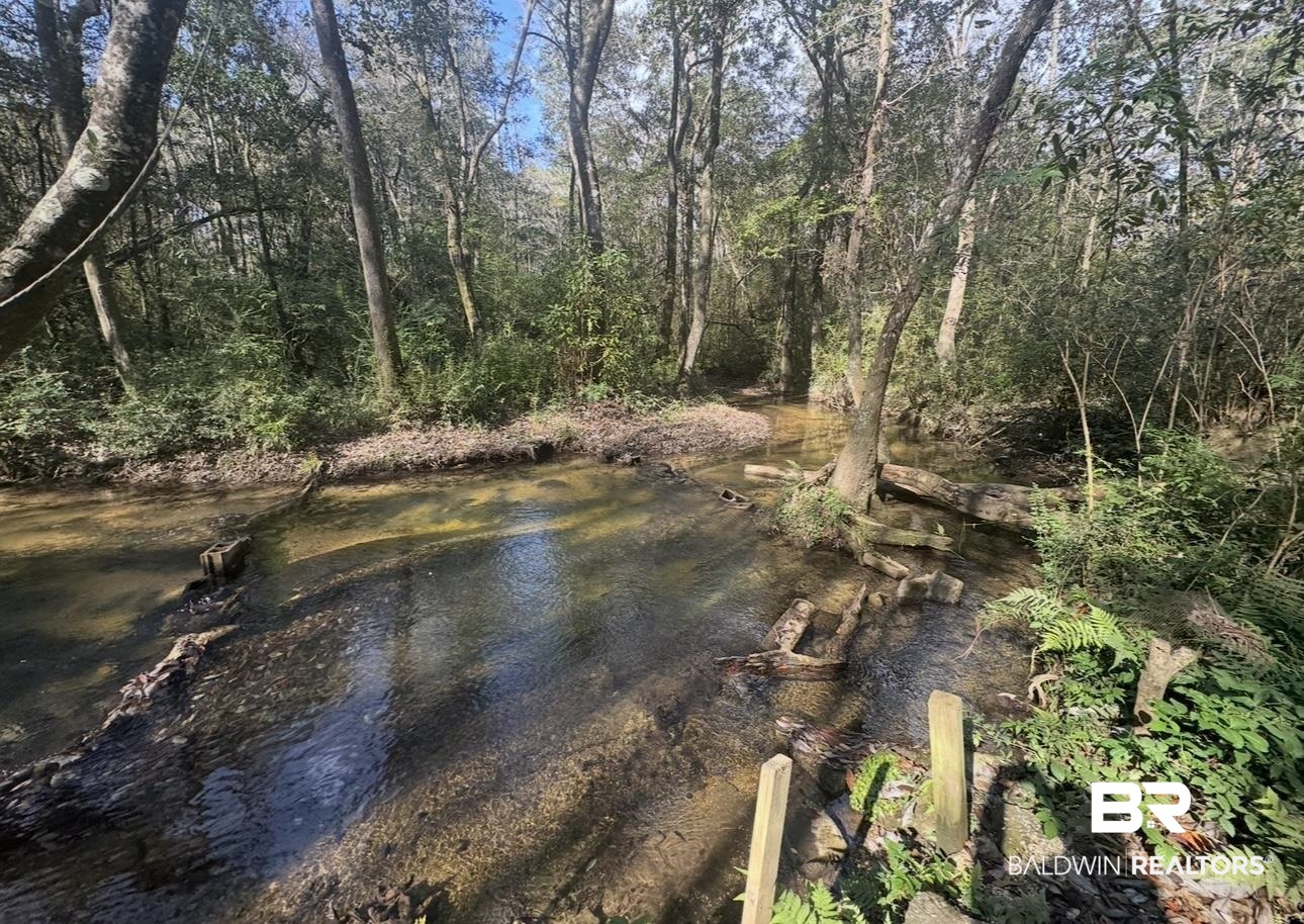 23341 County Road 49 Silverhill, AL 36576 - Photo 14 of 23 Water view