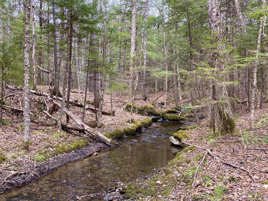a view of lake