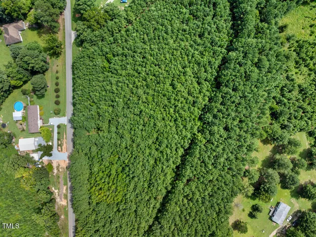 a view of a lush green forest