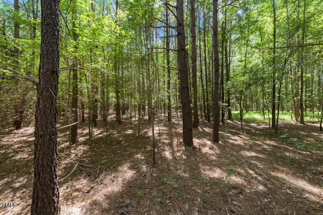 4106 Wilson Town Road Oxford, NC 27565 - Photo 6 of 8 a view of yard