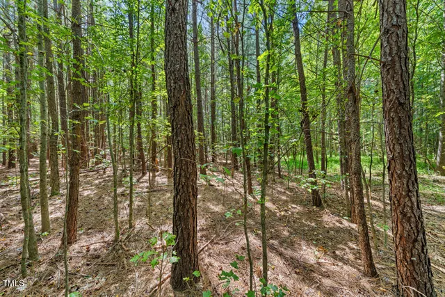 a view of outdoor space and garden