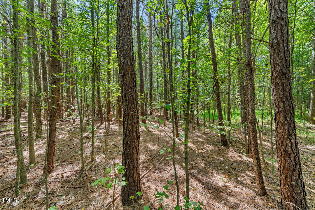 4106 Wilson Town Road Oxford, NC 27565 - Photo 7 of 8 a view of outdoor space and garden