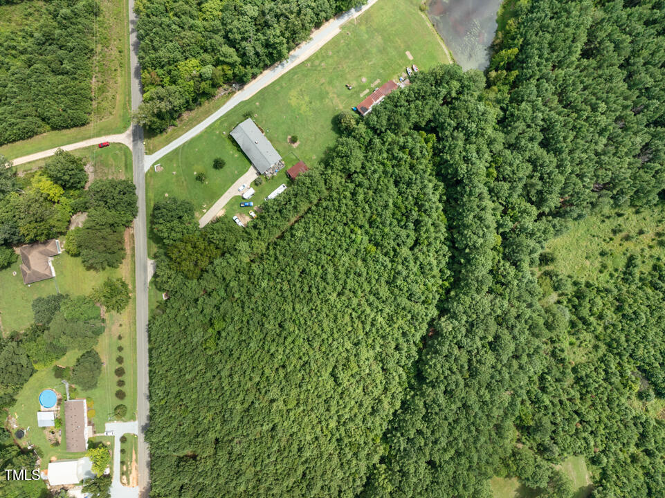 4106 Wilson Town Road Oxford, NC 27565 - Photo 8 of 8 a view of a yard with plants and large trees