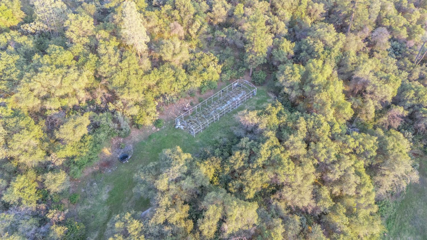 12911 Long Valley Road Penn Valley, CA 95946 - Photo 12 of 35 a view of a tree