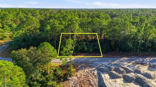 a view of a yard with plants