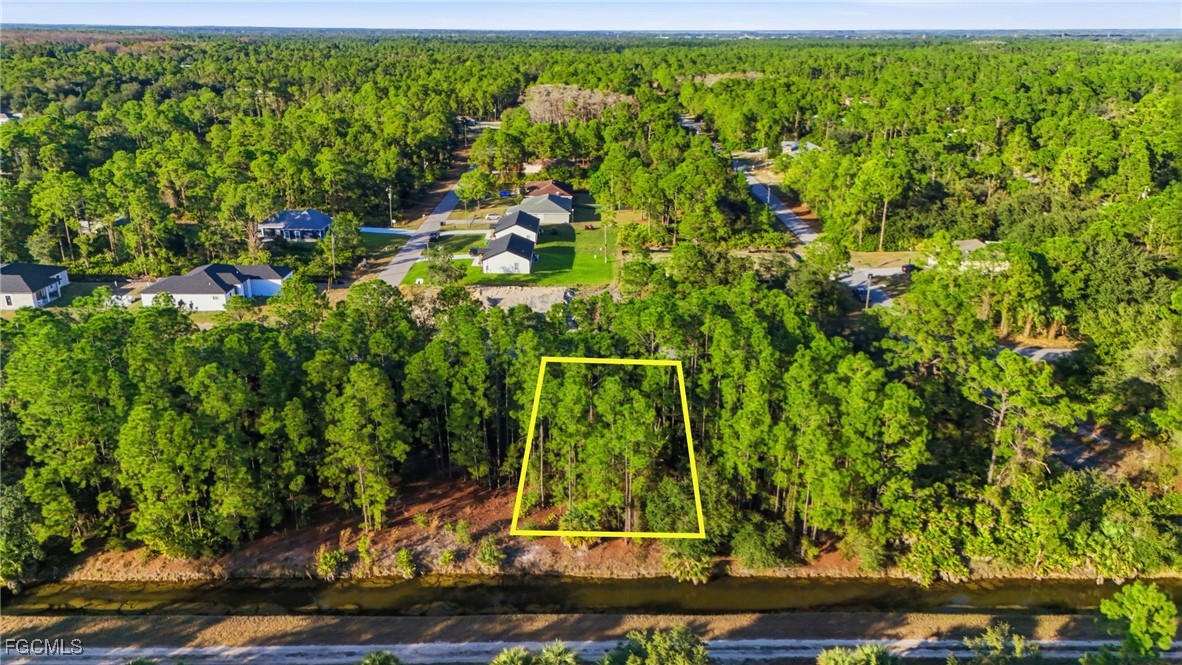 2428 Mabry Street Alva, FL 33920 - Photo 11 of 20 a view of a yard with plants