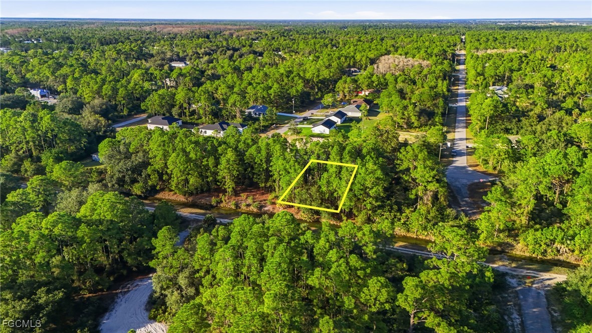 2428 Mabry Street Alva, FL 33920 - Photo 13 of 20 a backyard of a house with lots of green space and garden