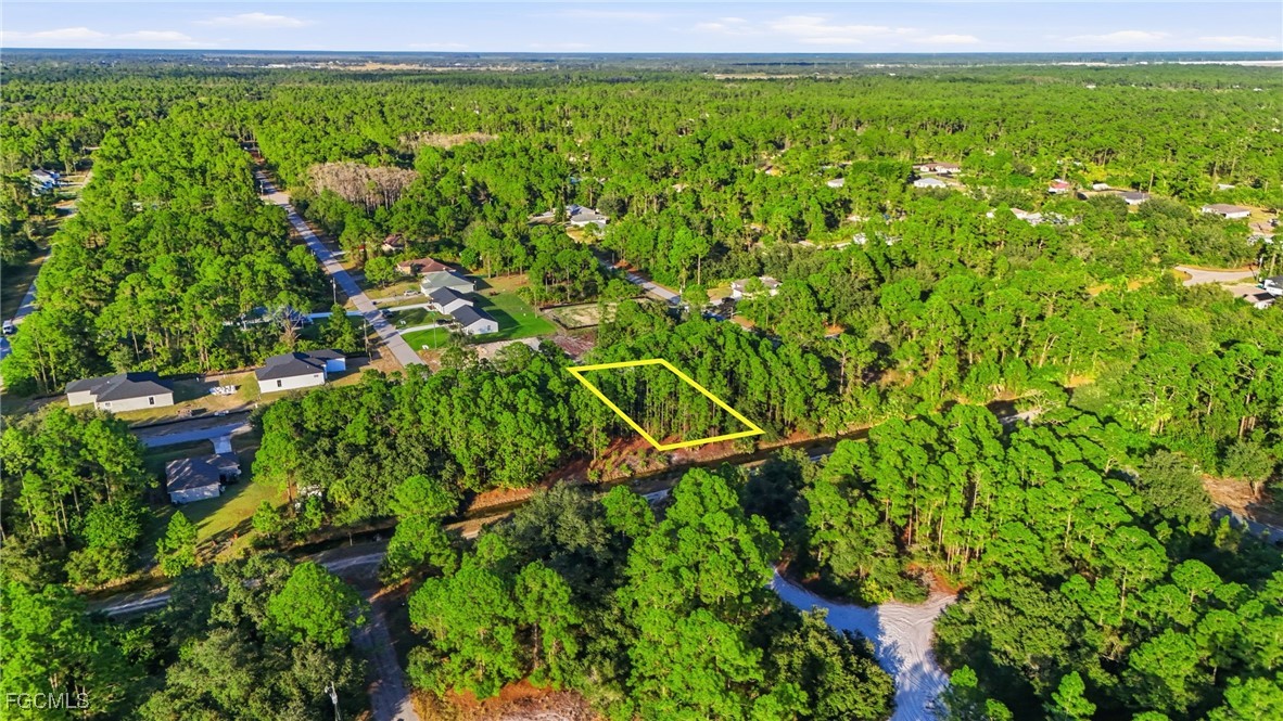 2428 Mabry Street Alva, FL 33920 - Photo 15 of 20 a backyard of a house with lots of green space and garden