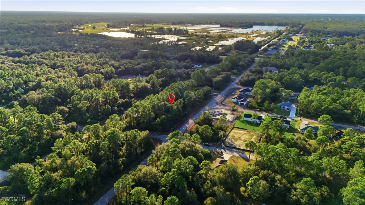 2428 Mabry Street Alva, FL 33920 - Photo 19 of 20 an aerial view of a residential houses with outdoor space and trees