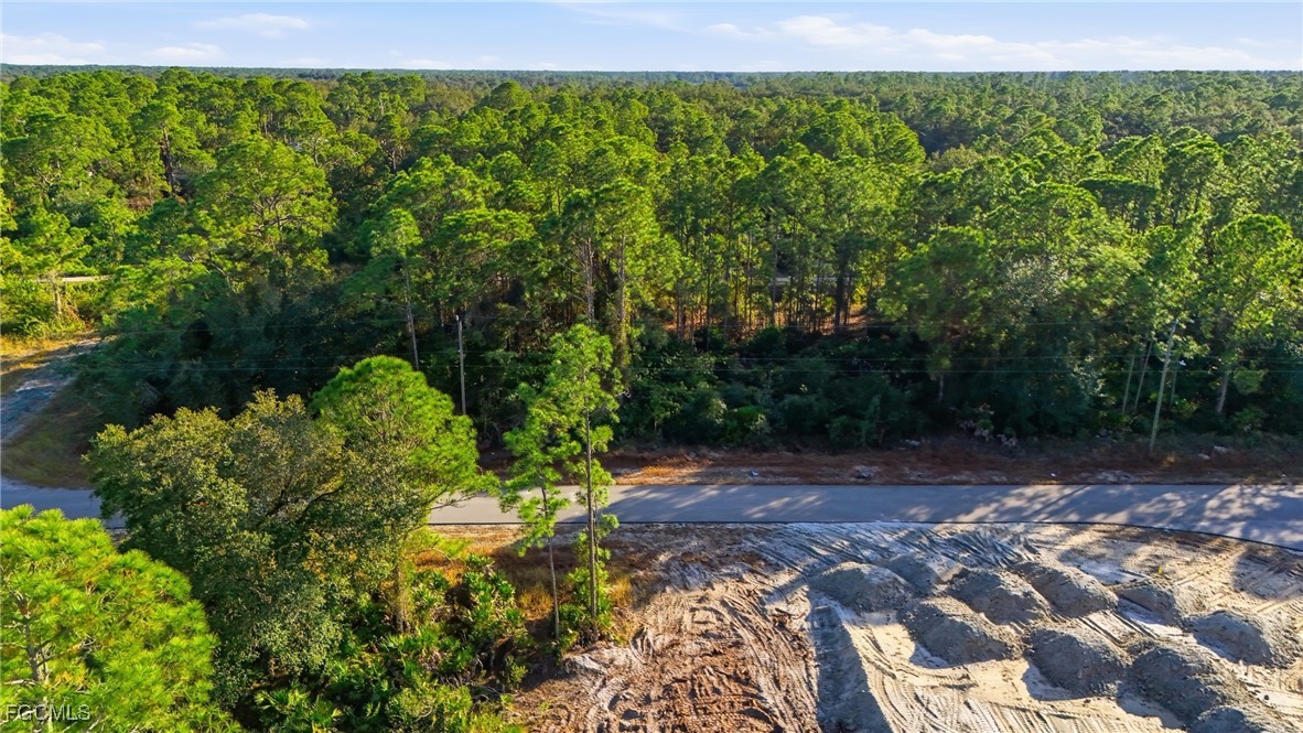 2428 Mabry Street Alva, FL 33920 - Photo 3 of 20 a view of a yard with plants and large trees