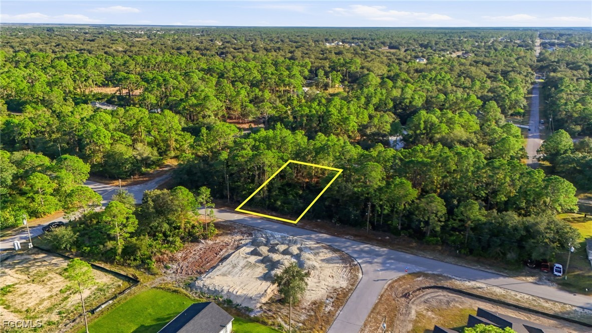 2428 Mabry Street Alva, FL 33920 - Photo 5 of 20 a view of a backyard with plants and a garden
