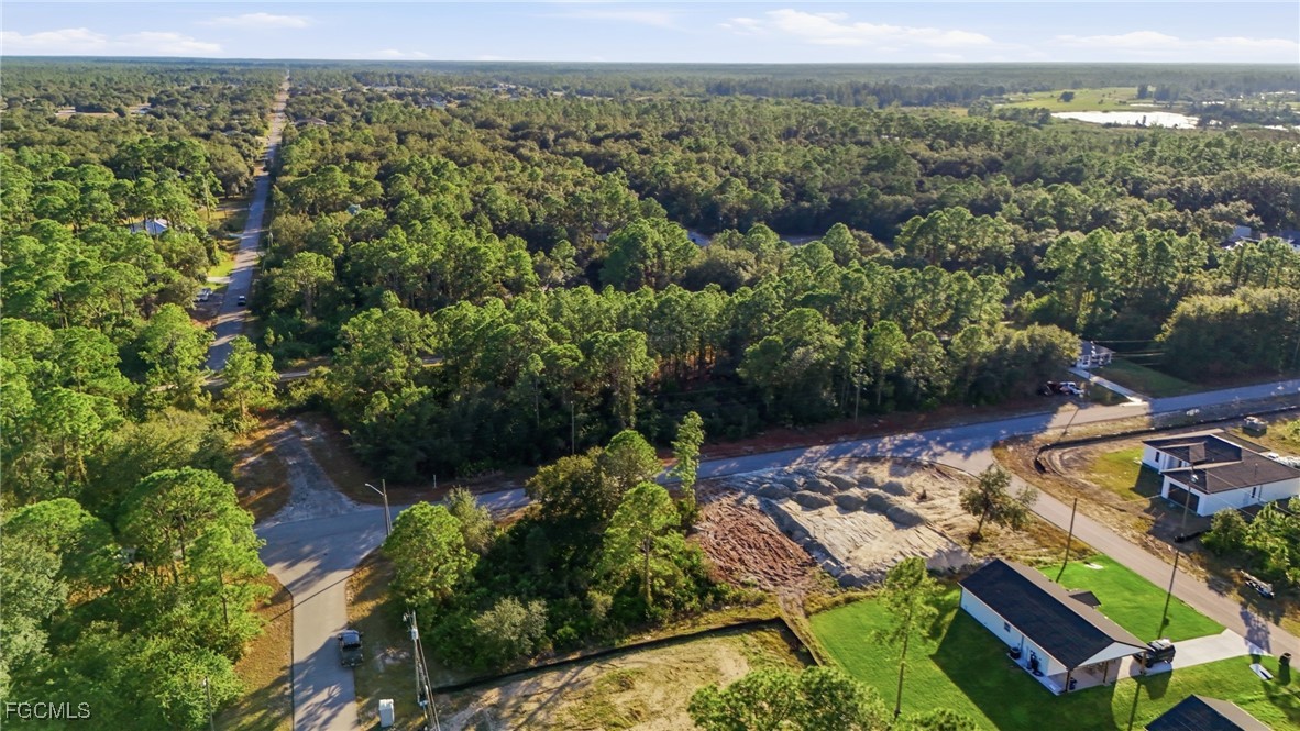 2428 Mabry Street Alva, FL 33920 - Photo 6 of 20 an aerial view of a house with a yard