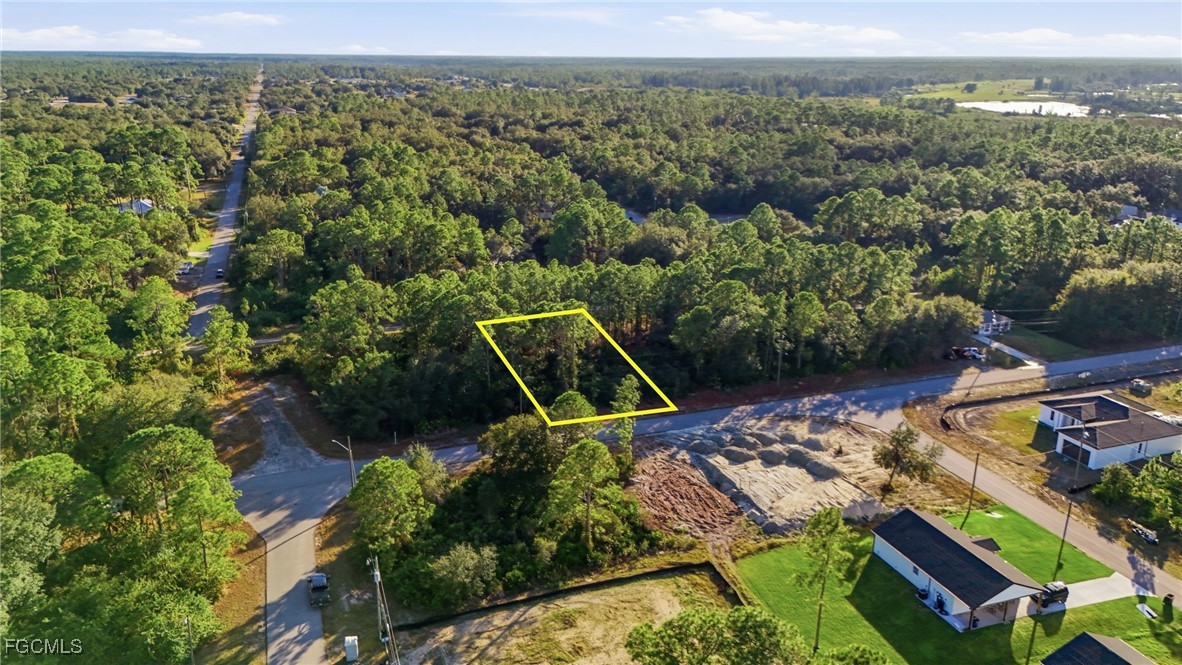 2428 Mabry Street Alva, FL 33920 - Photo 7 of 20 an aerial view of a house with a garden