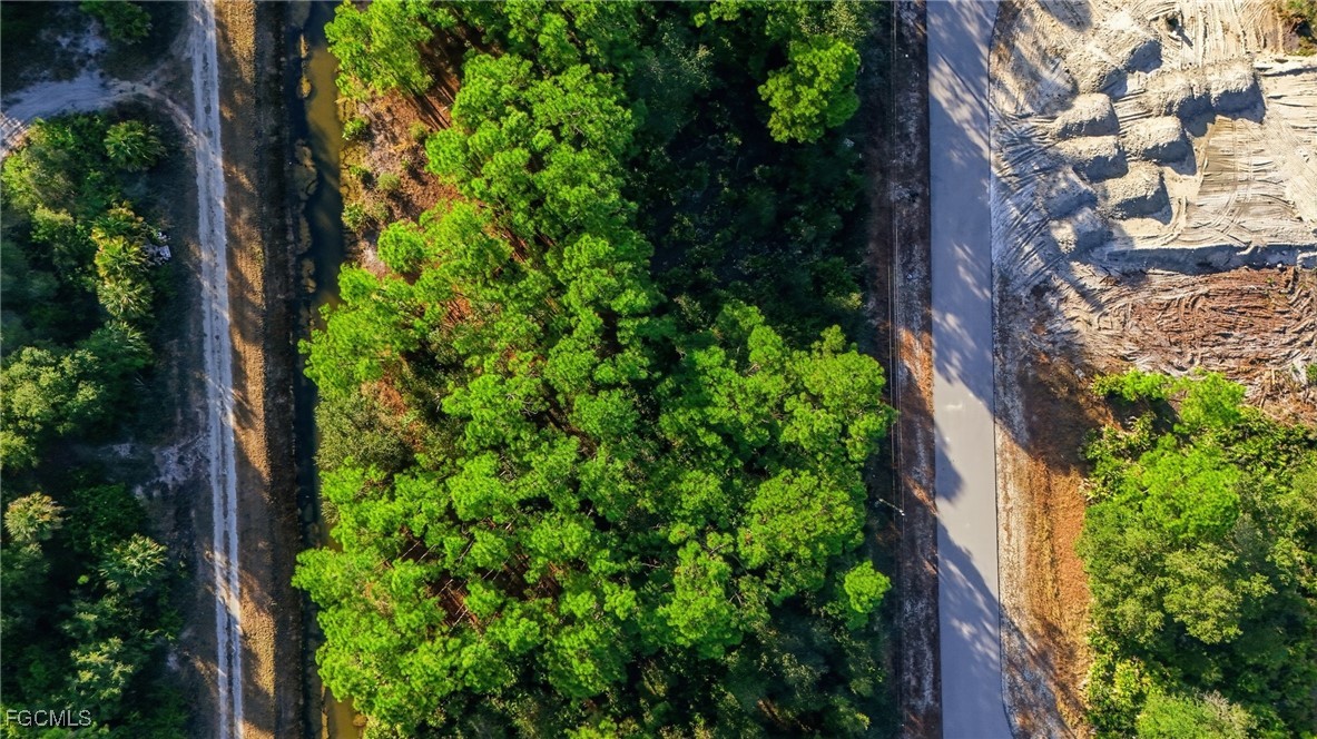 2428 Mabry Street Alva, FL 33920 - Photo 8 of 20