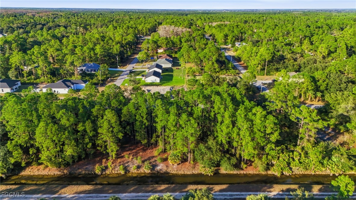 2428 Mabry Street Alva, FL 33920 - Photo 10 of 20 a view of a yard with plants