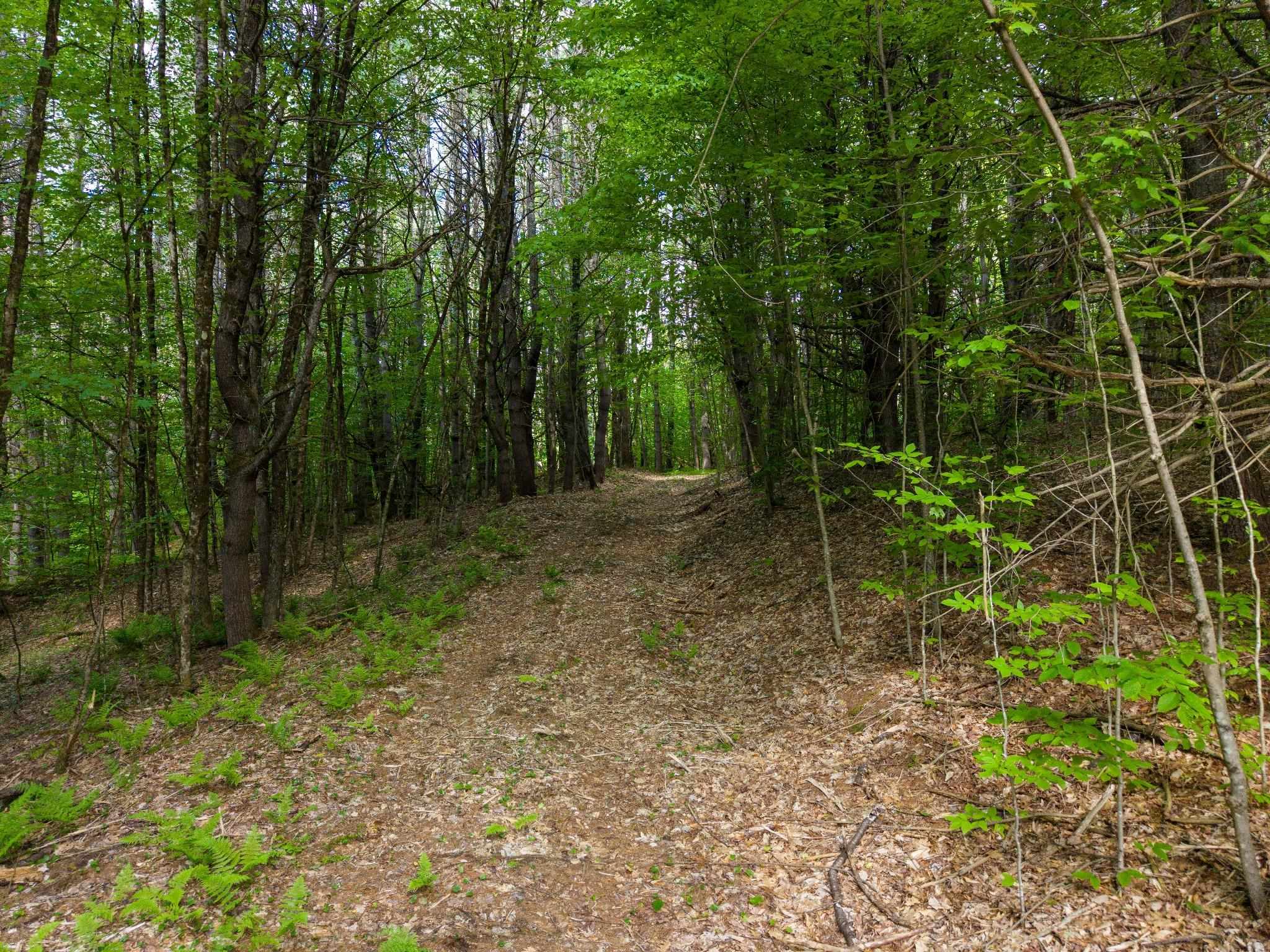 0 Tigertown Road White River Junction, VT 05001 - Photo 9 of 13