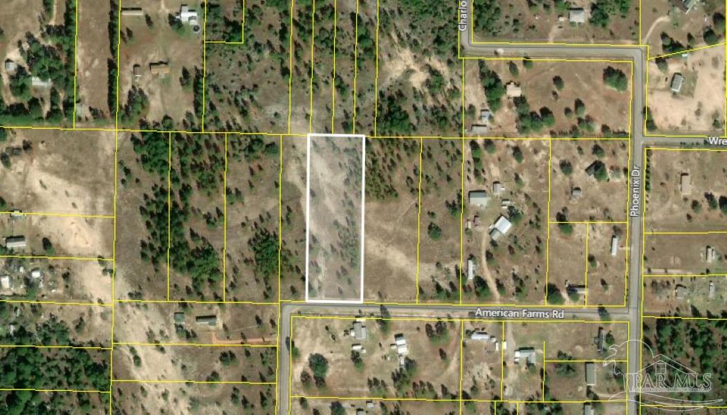 Tbd American Farms Road, Unit 3 ACRES Milton, FL 32583 - Photo 1 of 1 Gallery Image 1
