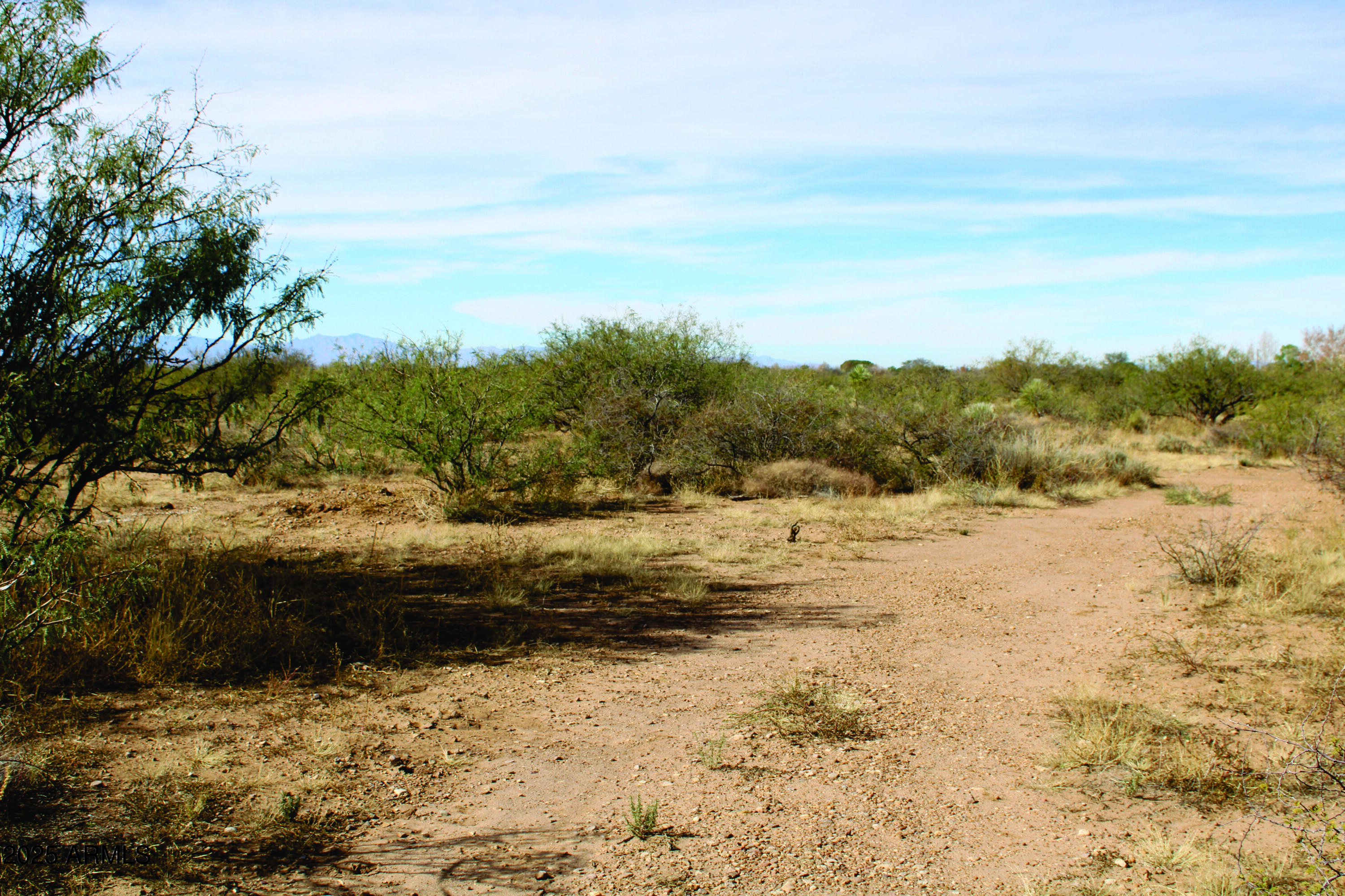 10-acres East Roadrunner Road Pearce, AZ 85625 - Photo 6 of 37 IMG_0798.JPG
