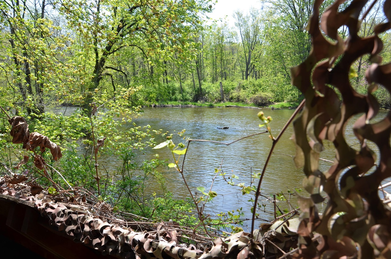 2255 River Road Hastings, MI 49058 - Photo 78 of 94