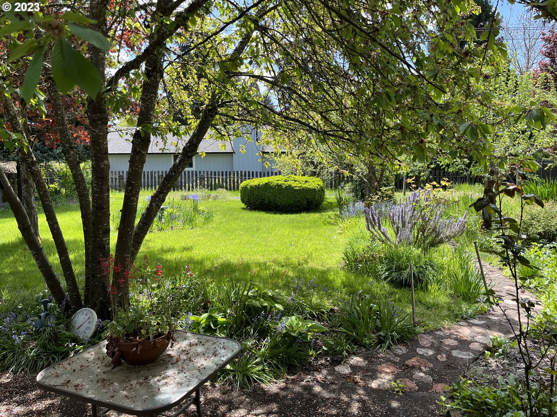 1526 Green Acres Road Eugene, OR 97408 - Photo 7 of 10 a view of a garden with a tree