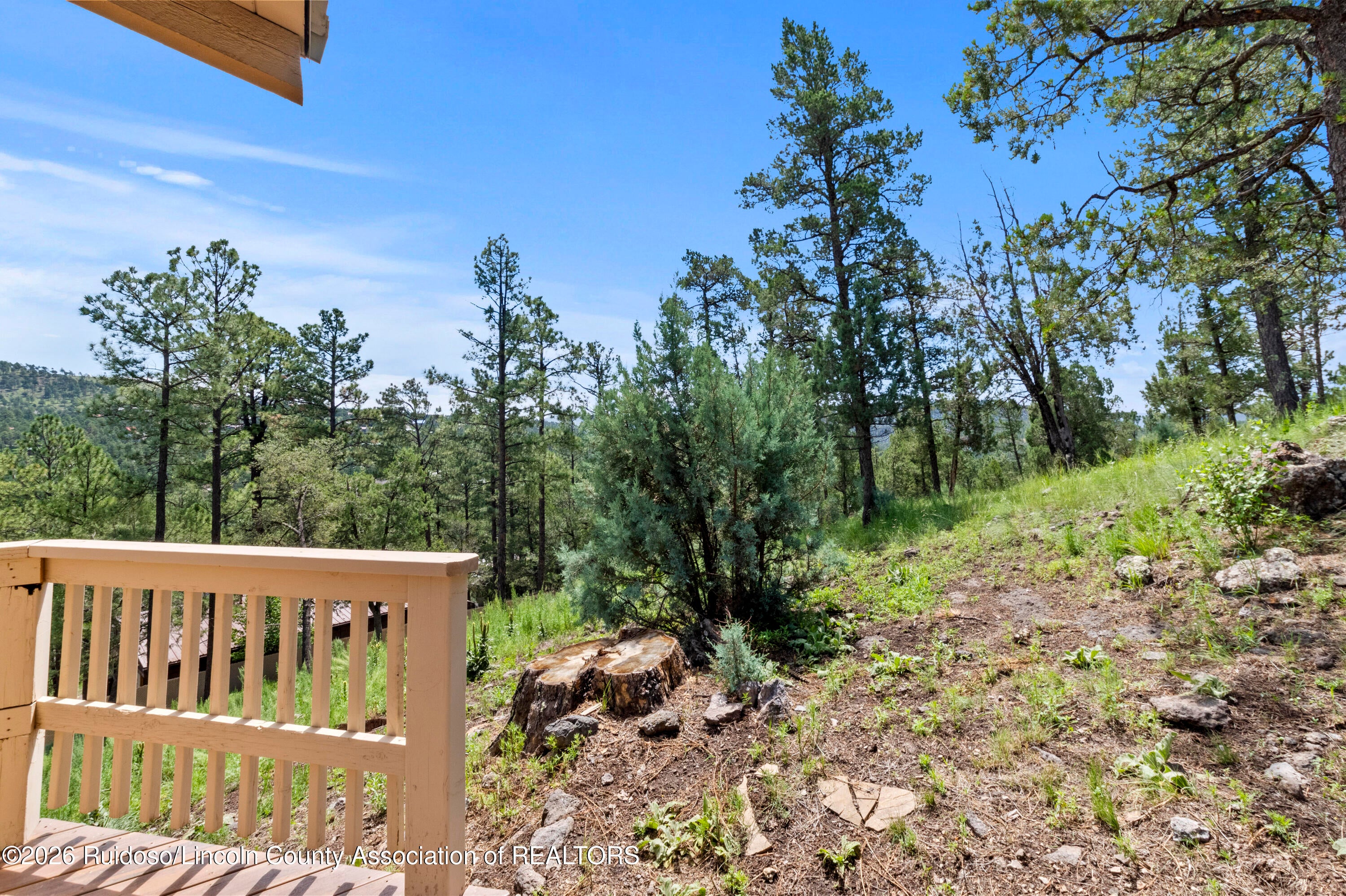 105 Nob Drive Ruidoso, NM 88345 - Photo 67 of 71 Gallery Image 67