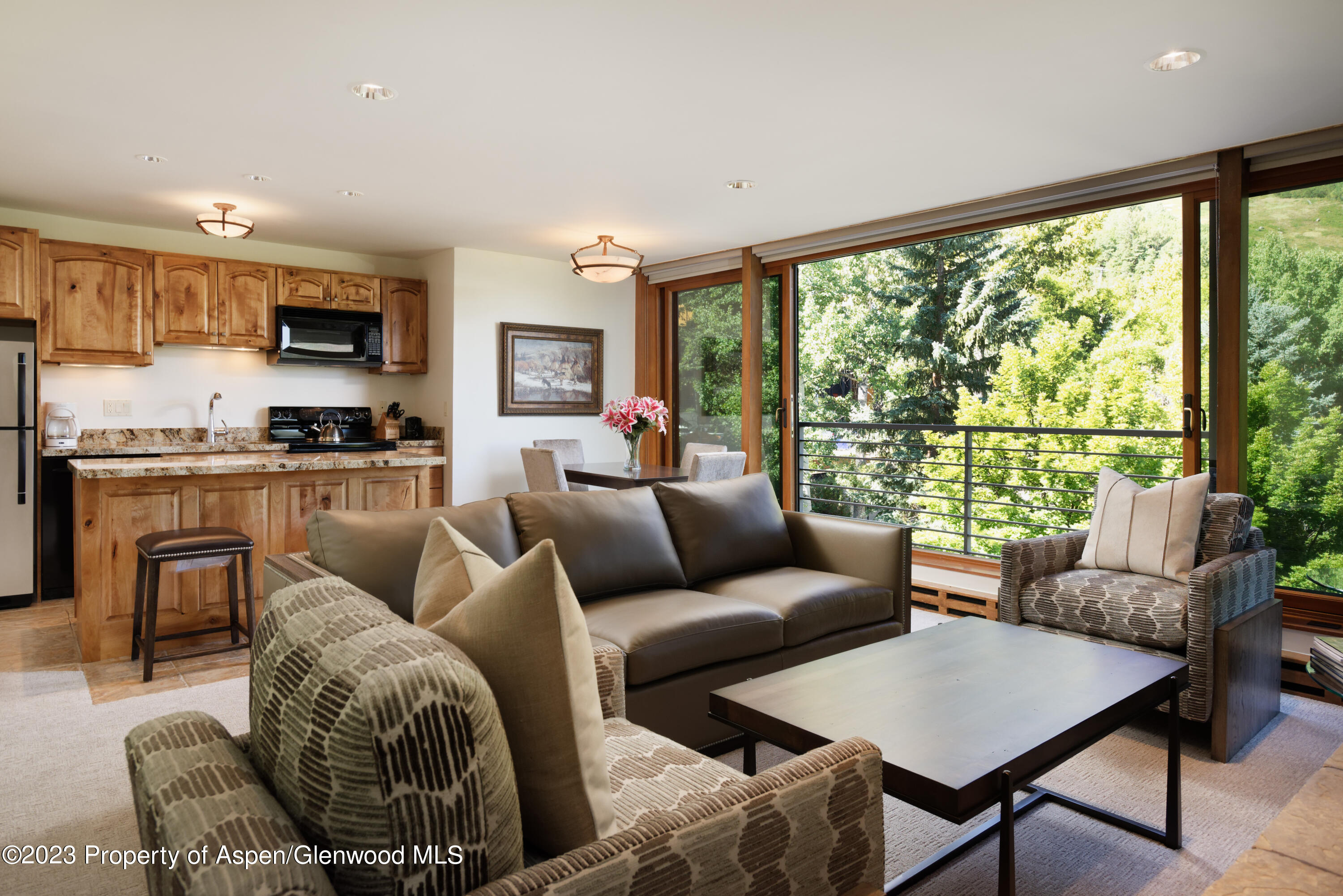 728 South Galena Street, Unit B201 Aspen, CO 81611 - Photo 1 of 18 a living room with furniture and a large window