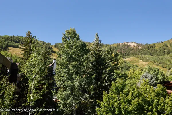 $20,000 | 728 South Galena Street, Unit B201, Aspen, CO 81611