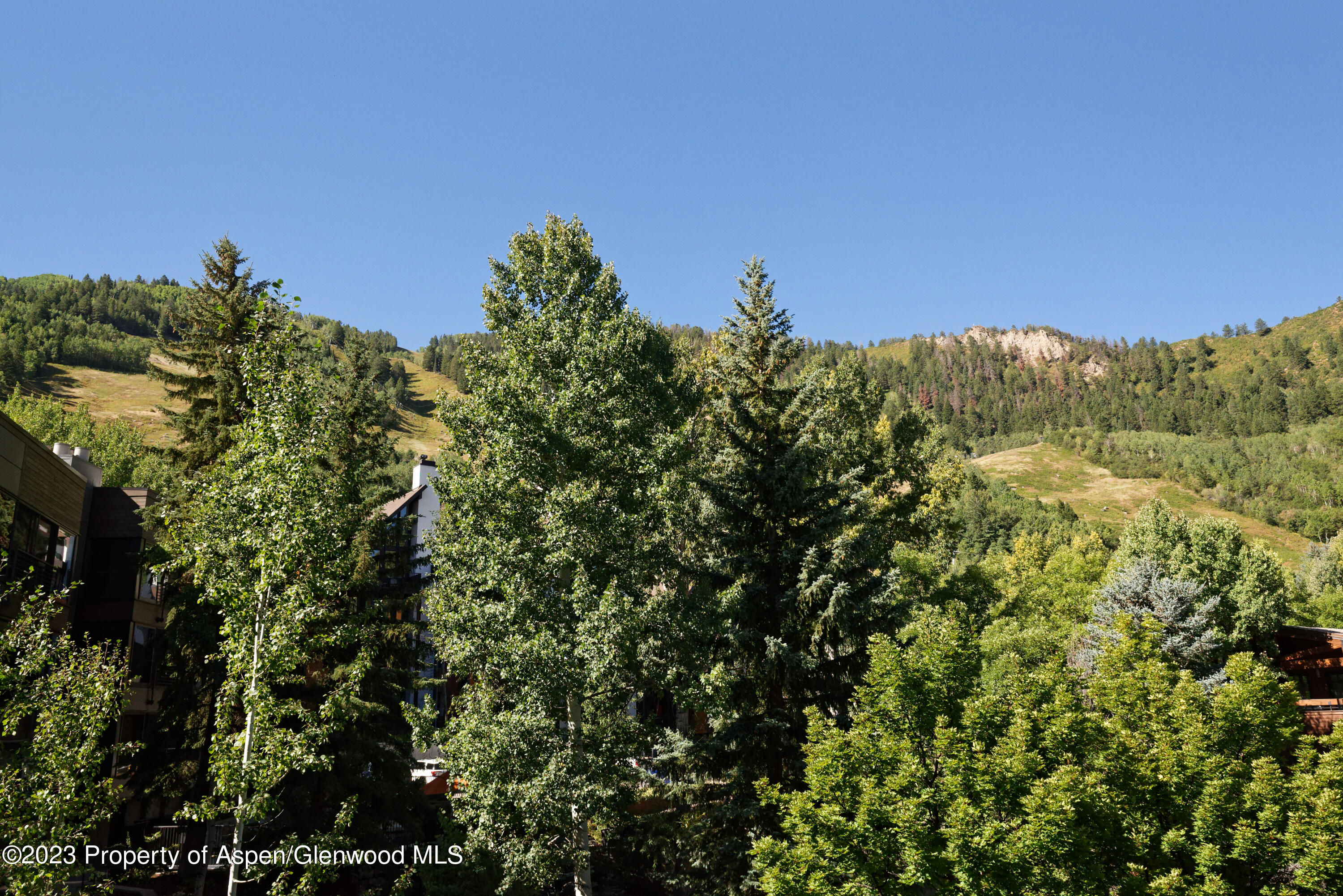 728 South Galena Street, Unit B201 Aspen, CO 81611 - Photo 14 of 18 a view of a field of a building