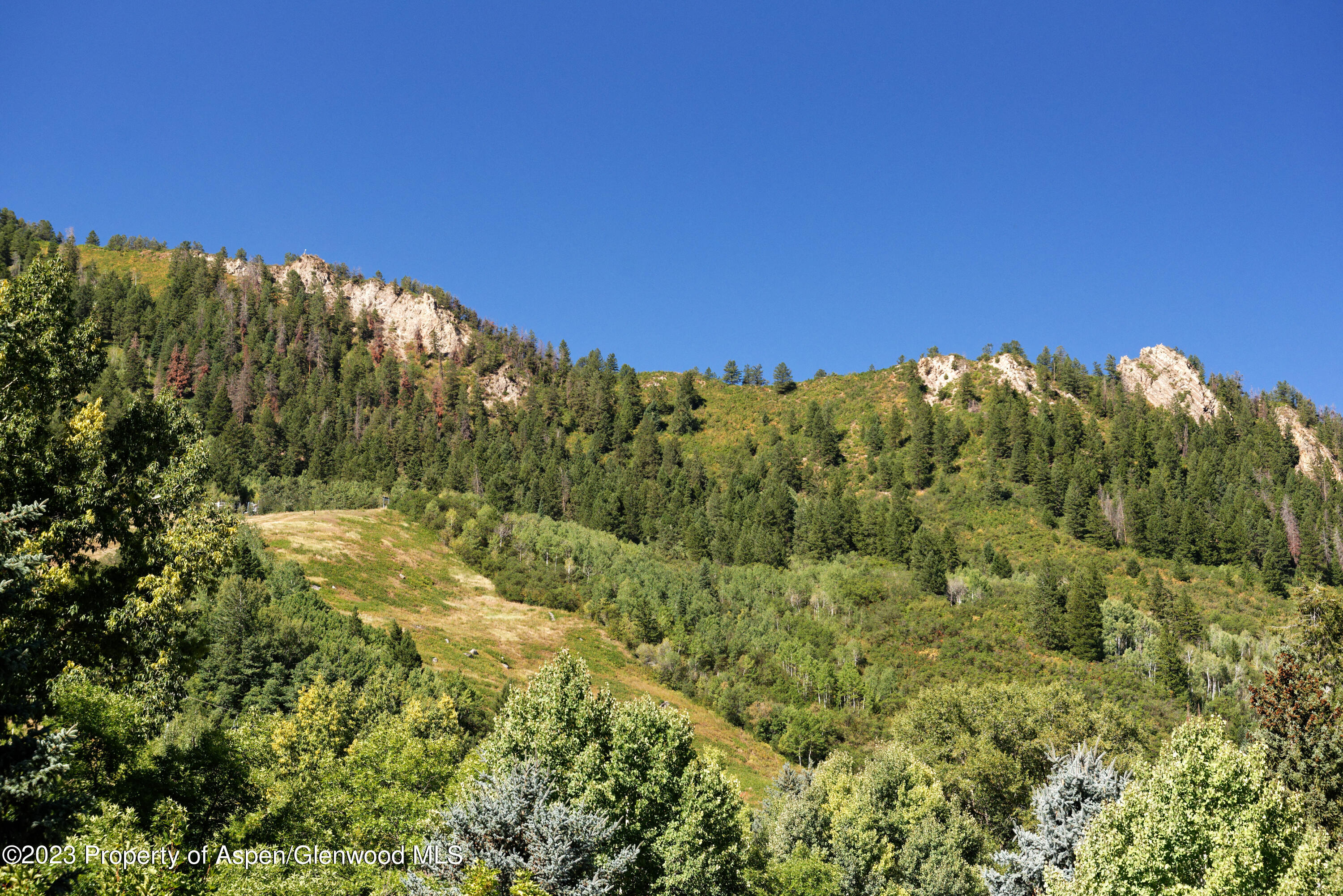 728 South Galena Street, Unit B201 Aspen, CO 81611 - Photo 16 of 18 a view of a field