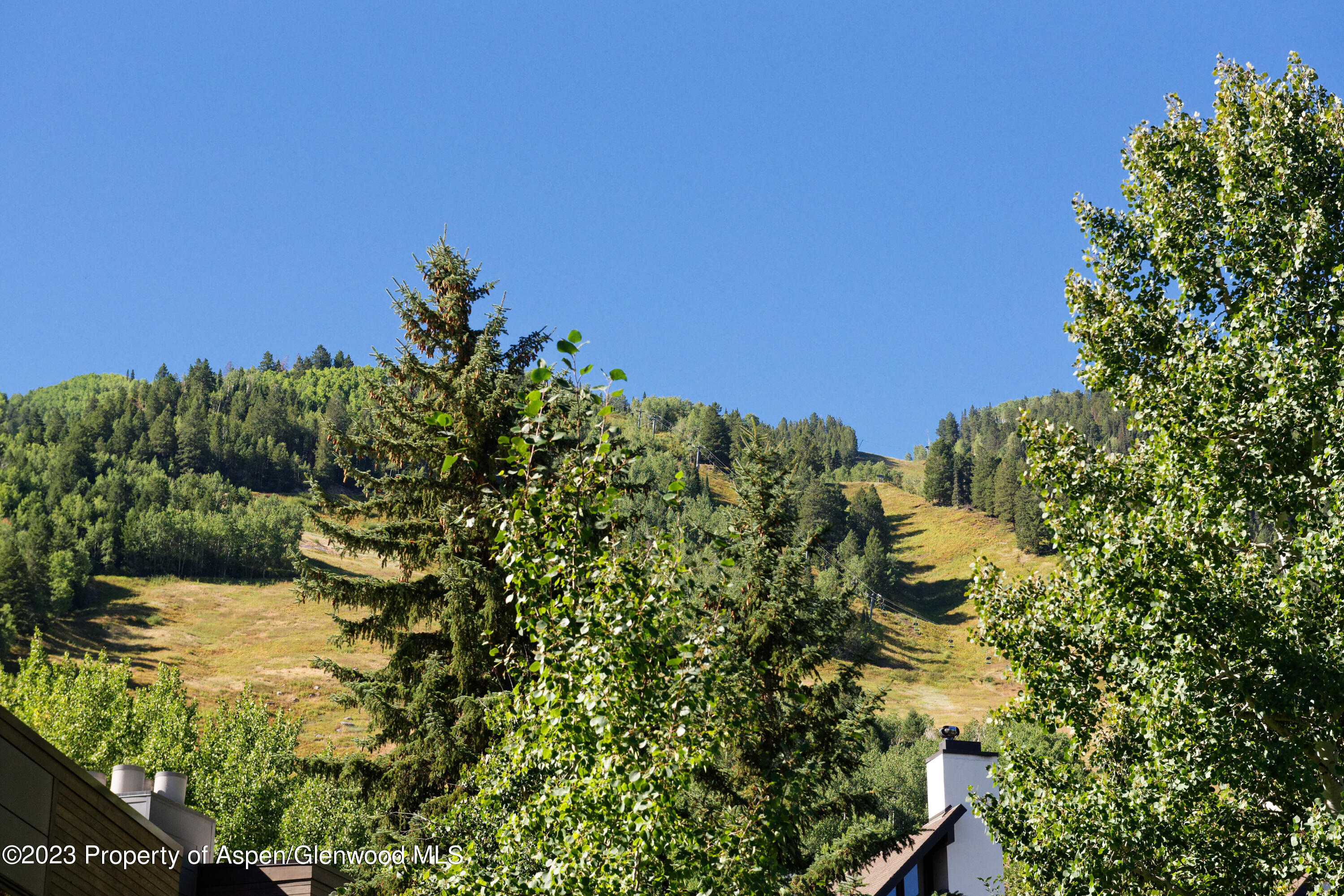 728 South Galena Street, Unit B201 Aspen, CO 81611 - Photo 17 of 18 a view of a garden