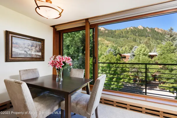$20,000 | 728 South Galena Street, Unit B201, Aspen, CO 81611