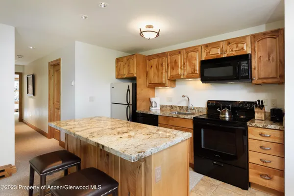 $20,000 | 728 South Galena Street, Unit B201, Aspen, CO 81611