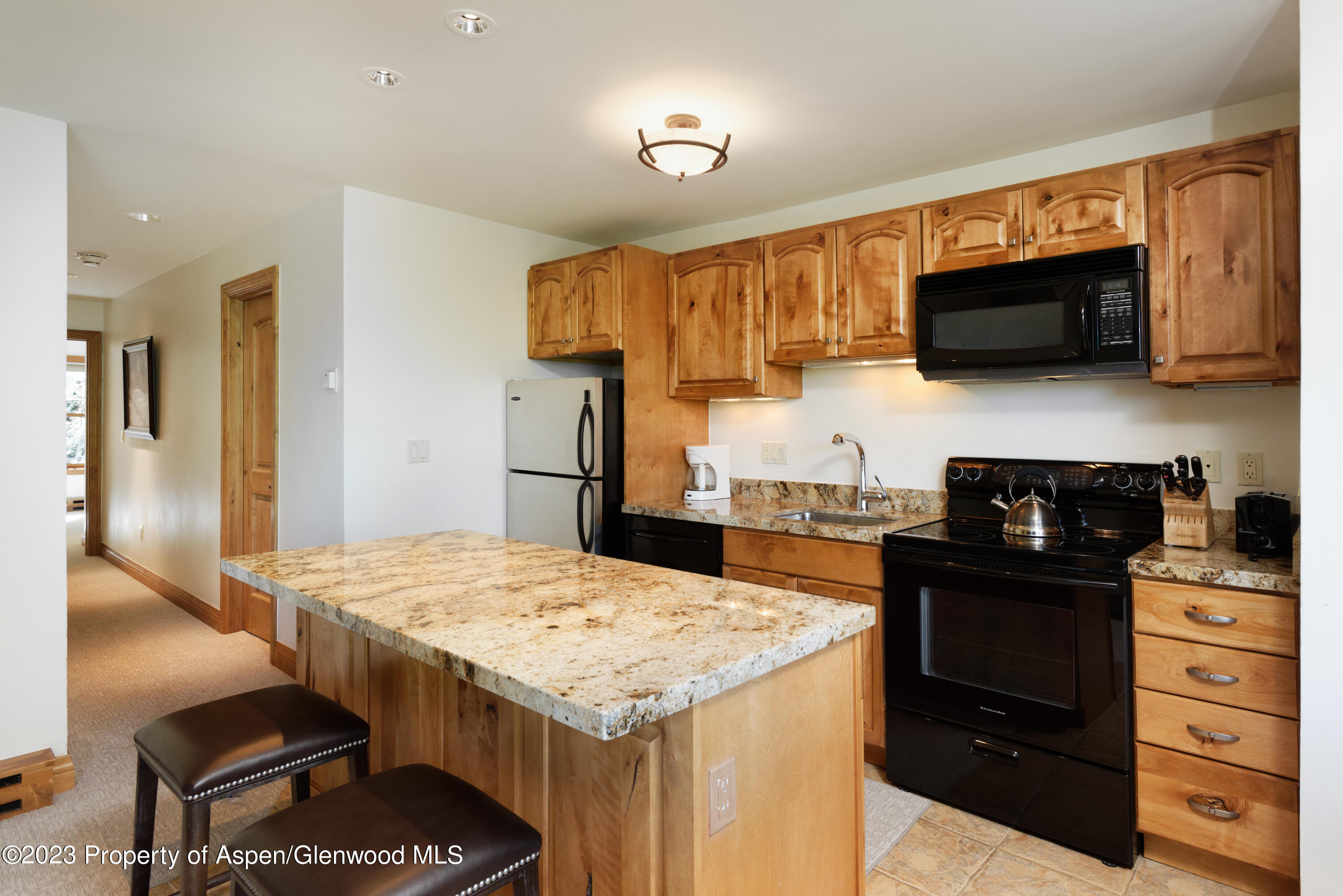 728 South Galena Street, Unit B201 Aspen, CO 81611 - Photo 6 of 18 a kitchen with stainless steel appliances kitchen island granite countertop a refrigerator and a stove top oven