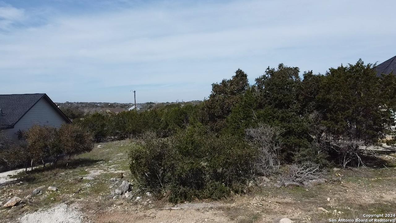 105 James Box Blanco, TX 78606 - Photo 5 of 5 a view of a city with lush green forest