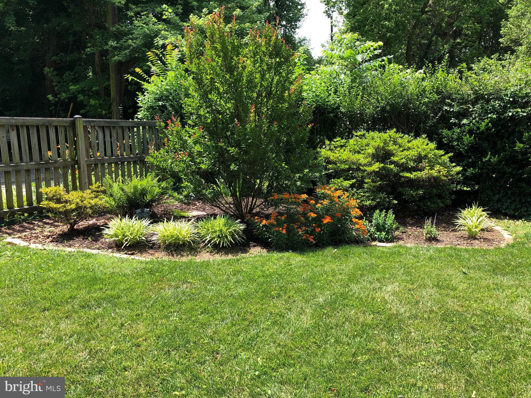 319 Woodlawn Road Baltimore, MD 21210 - Photo 11 of 66 Lovely bed in rear garden.
