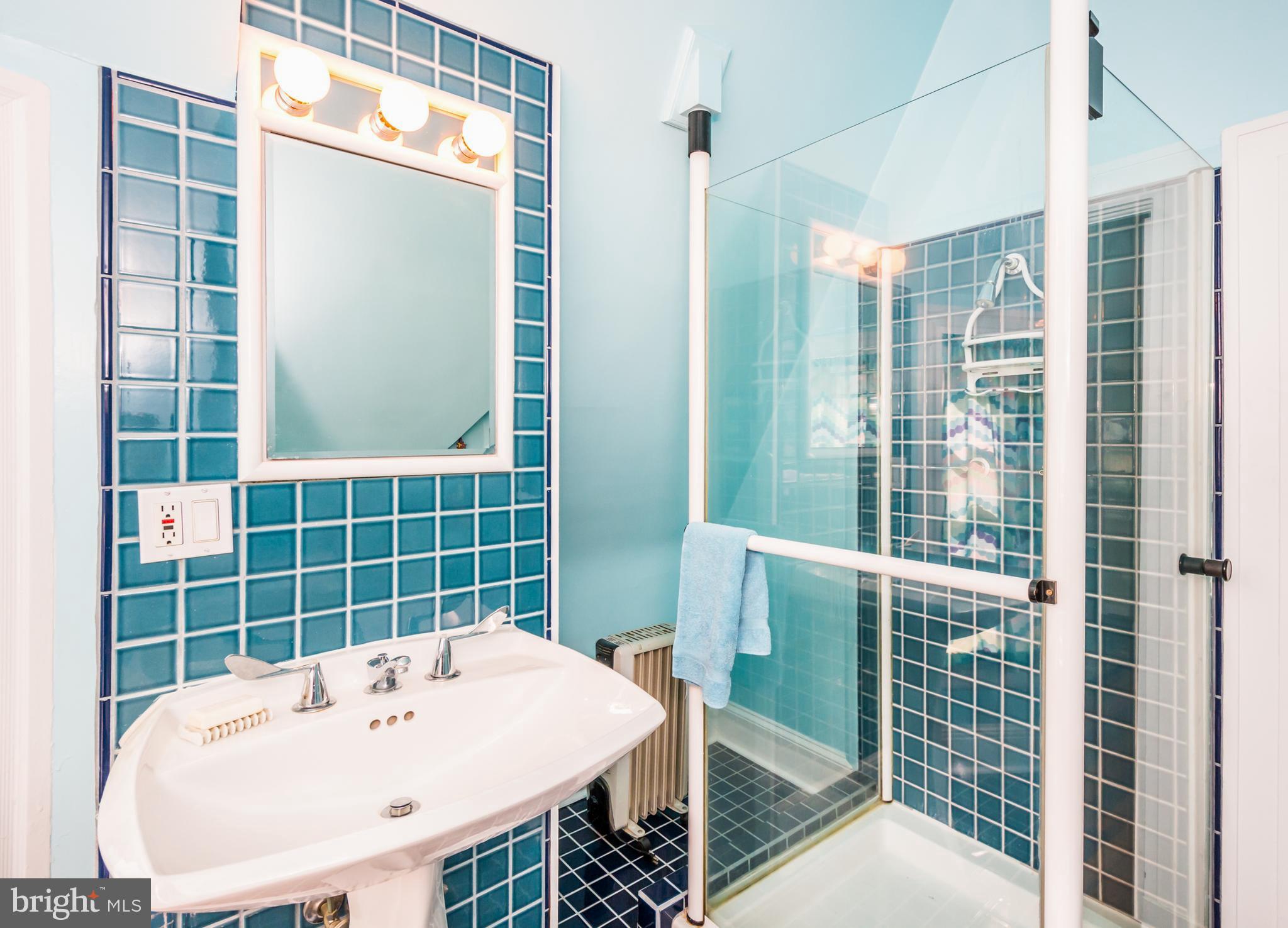 319 Woodlawn Road Baltimore, MD 21210 - Photo 61 of 66 3rd floor Full Bath