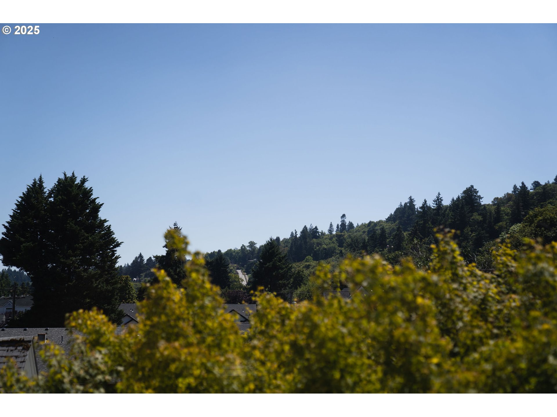 236 South Sweeney Street Portland, OR 97239 - Photo 24 of 29 a view of a city