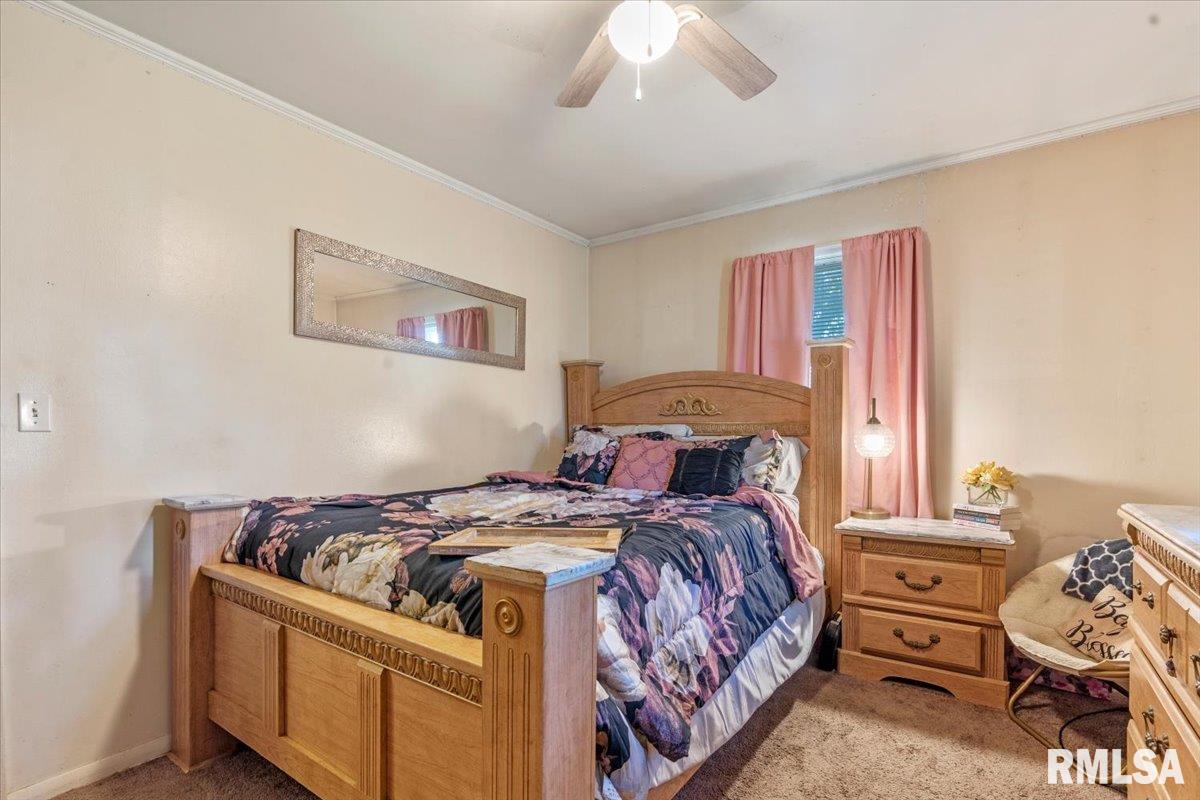 3619 Lancaster Road Springfield, IL 62703 - Photo 22 of 30