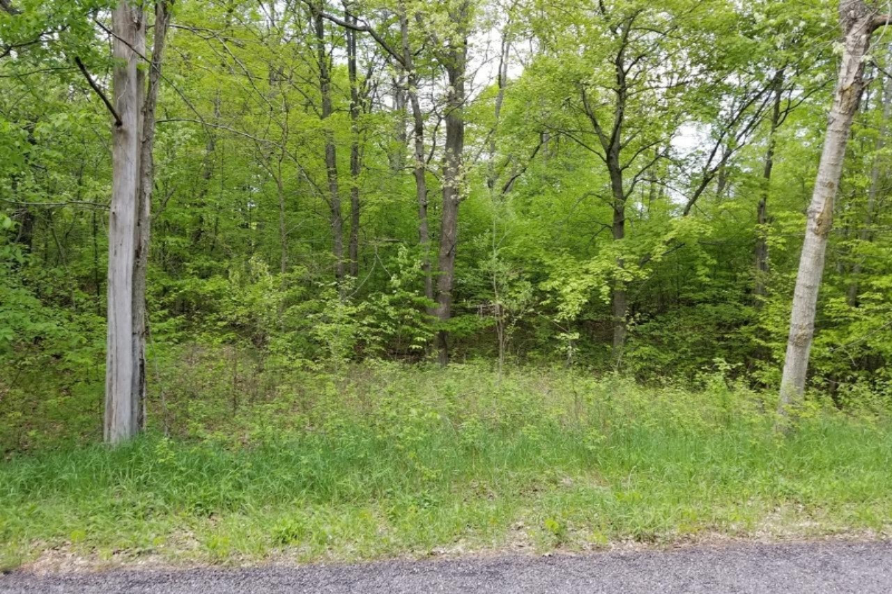 9541 Blue Ridge Lane Mecosta, MI 49332 - Photo 3 of 9 3 Blacktop Frontage