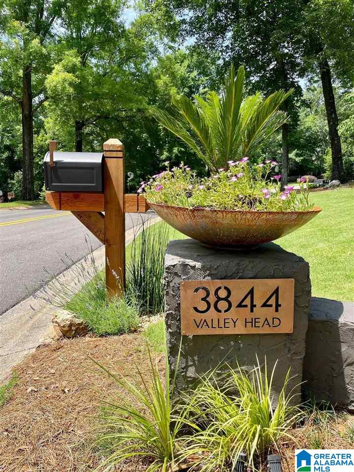 3844 Valley Head Road Birmingham, AL 35223 - Photo 4 of 50