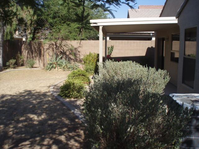 42779 Venture Road Maricopa, AZ 85138 - Photo 7 of 7 BACK