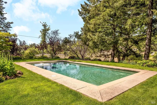 a view of a yard with large trees