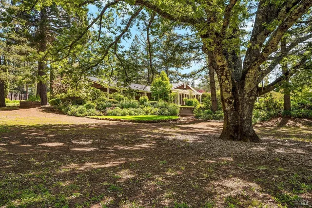 a view of a yard with a tree